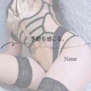 ヒメ日記 2026/01/27 09:22 投稿 ねね　洗練された可憐な美貌 ROYAL FACE