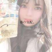 ヒメ日記 2026/02/06 10:12 投稿 ねね　洗練された可憐な美貌 ROYAL FACE