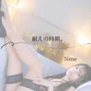 ヒメ日記 2026/02/07 08:12 投稿 ねね　洗練された可憐な美貌 ROYAL FACE