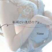 ヒメ日記 2026/02/07 10:37 投稿 ねね　洗練された可憐な美貌 ROYAL FACE