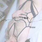 ヒメ日記 2026/02/10 10:12 投稿 ねね　洗練された可憐な美貌 ROYAL FACE