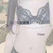 ヒメ日記 2026/02/11 08:22 投稿 ねね　洗練された可憐な美貌 ROYAL FACE