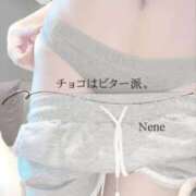 ヒメ日記 2026/02/14 08:32 投稿 ねね　洗練された可憐な美貌 ROYAL FACE