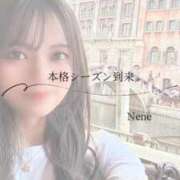 ヒメ日記 2026/02/22 07:55 投稿 ねね　洗練された可憐な美貌 ROYAL FACE