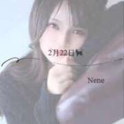 ねね　洗練された可憐な美貌 にゃんにゃんにゃんの日 ROYAL FACE