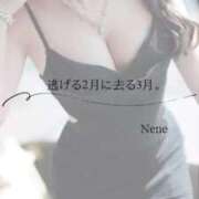 ヒメ日記 2026/02/28 19:52 投稿 ねね　洗練された可憐な美貌 ROYAL FACE