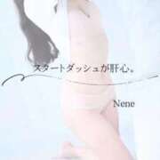 ヒメ日記 2026/03/02 10:02 投稿 ねね　洗練された可憐な美貌 ROYAL FACE