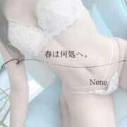 ヒメ日記 2026/03/09 10:12 投稿 ねね　洗練された可憐な美貌 ROYAL FACE