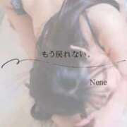 ヒメ日記 2026/03/16 10:02 投稿 ねね　洗練された可憐な美貌 ROYAL FACE