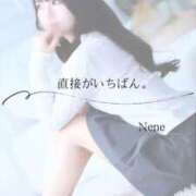 ヒメ日記 2026/03/17 16:22 投稿 ねね　洗練された可憐な美貌 ROYAL FACE