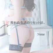 ねね　洗練された可憐な美貌 リセット ROYAL FACE