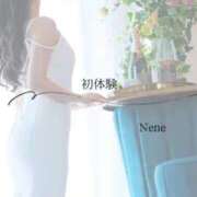 ヒメ日記 2026/06/22 11:22 投稿 ねね　洗練された可憐な美貌 ROYAL FACE