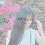 ヒメ日記 2026/07/26 09:23 投稿 ねね　洗練された可憐な美貌 ROYAL FACE