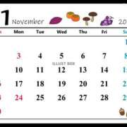 ヒメ日記 2025/11/15 19:22 投稿 きさき　期待以上の洗練された美女 ROYAL FACE