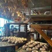 ヒメ日記 2026/01/22 10:02 投稿 こゆき　煌びやかな愛嬌抜群美女 ROYAL FACE