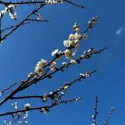 こゆき　煌びやかな愛嬌抜群美女 おはようございます☺️ ROYAL FACE