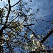 ヒメ日記 2026/03/24 20:12 投稿 こゆき　煌びやかな愛嬌抜群美女 ROYAL FACE