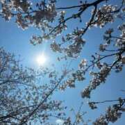 ヒメ日記 2026/04/10 14:52 投稿 こゆき　煌びやかな愛嬌抜群美女 ROYAL FACE