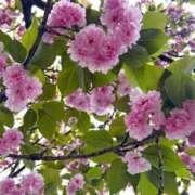 ヒメ日記 2026/05/05 10:52 投稿 こゆき　煌びやかな愛嬌抜群美女 ROYAL FACE