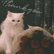 ヒメ日記 2026/02/22 15:12 投稿 さき　恋慕われる逸材美女 ROYAL FACE