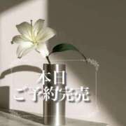 ヒメ日記 2026/09/04 13:52 投稿 さき　恋慕われる逸材美女 ROYAL FACE