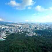 ヒメ日記 2025/11/19 14:57 投稿 すみれ　魅力溢れる淑女 ROYAL FACE