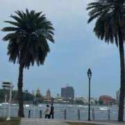 ヒメ日記 2026/03/25 11:32 投稿 すみれ　魅力溢れる淑女 ROYAL FACE