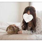 ヒメ日記 2025/11/11 12:31 投稿 らら　心躍る魅惑満載な美女 ROYAL FACE