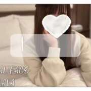 ヒメ日記 2025/11/18 09:07 投稿 らら　心躍る魅惑満載な美女 ROYAL FACE