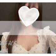 ヒメ日記 2025/11/26 09:52 投稿 らら　心躍る魅惑満載な美女 ROYAL FACE