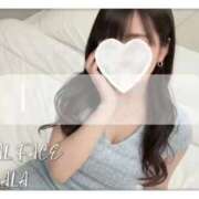 ヒメ日記 2026/02/10 10:42 投稿 らら　心躍る魅惑満載な美女 ROYAL FACE