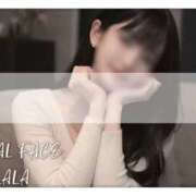 ヒメ日記 2026/03/12 07:52 投稿 らら　心躍る魅惑満載な美女 ROYAL FACE