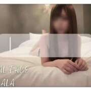 ヒメ日記 2026/04/04 08:22 投稿 らら　心躍る魅惑満載な美女 ROYAL FACE