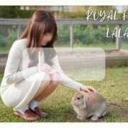 ヒメ日記 2026/04/09 21:25 投稿 らら　心躍る魅惑満載な美女 ROYAL FACE