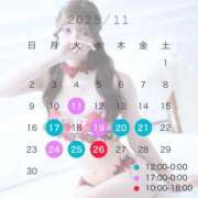 ヒメ日記 2025/11/10 08:36 投稿 のあ　清楚な癒し系美女 ROYAL FACE