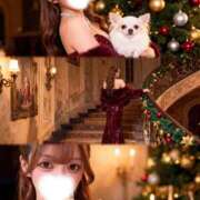 ヒメ日記 2025/12/10 14:42 投稿 のあ　清楚な癒し系美女 ROYAL FACE