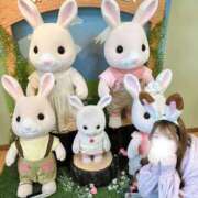 ヒメ日記 2025/12/14 10:42 投稿 のあ　清楚な癒し系美女 ROYAL FACE