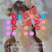 ヒメ日記 2026/02/01 17:02 投稿 のあ　清楚な癒し系美女 ROYAL FACE