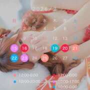 ヒメ日記 2026/02/14 15:42 投稿 のあ　清楚な癒し系美女 ROYAL FACE