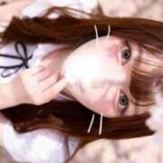 ヒメ日記 2026/03/25 09:22 投稿 のあ　清楚な癒し系美女 ROYAL FACE