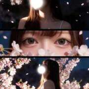 ヒメ日記 2026/04/05 11:02 投稿 のあ　清楚な癒し系美女 ROYAL FACE