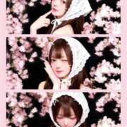 ヒメ日記 2026/04/09 16:37 投稿 のあ　清楚な癒し系美女 ROYAL FACE