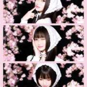 ヒメ日記 2026/04/10 12:52 投稿 かな　可愛らしくも妖艶な美女 ROYAL FACE