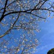 ヒメ日記 2026/03/30 17:12 投稿 けい　納得のHカップ淑女 ROYAL FACE