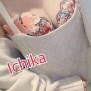 ヒメ日記 2025/11/08 10:08 投稿 いちか　顕著で華やかな極上美女 ROYAL FACE