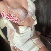 ヒメ日記 2025/11/08 18:22 投稿 いちか　顕著で華やかな極上美女 ROYAL FACE