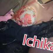 ヒメ日記 2025/11/28 18:53 投稿 いちか　顕著で華やかな極上美女 ROYAL FACE