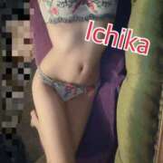 ヒメ日記 2025/11/29 17:12 投稿 いちか　顕著で華やかな極上美女 ROYAL FACE