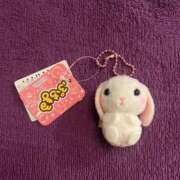 ヒメ日記 2025/12/17 21:02 投稿 せいな　清廉な美貌を誇る美女 ROYAL FACE