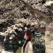 ヒメ日記 2026/04/14 15:04 投稿 ゆあ　至福の贅沢感を届ける美女 ROYAL FACE